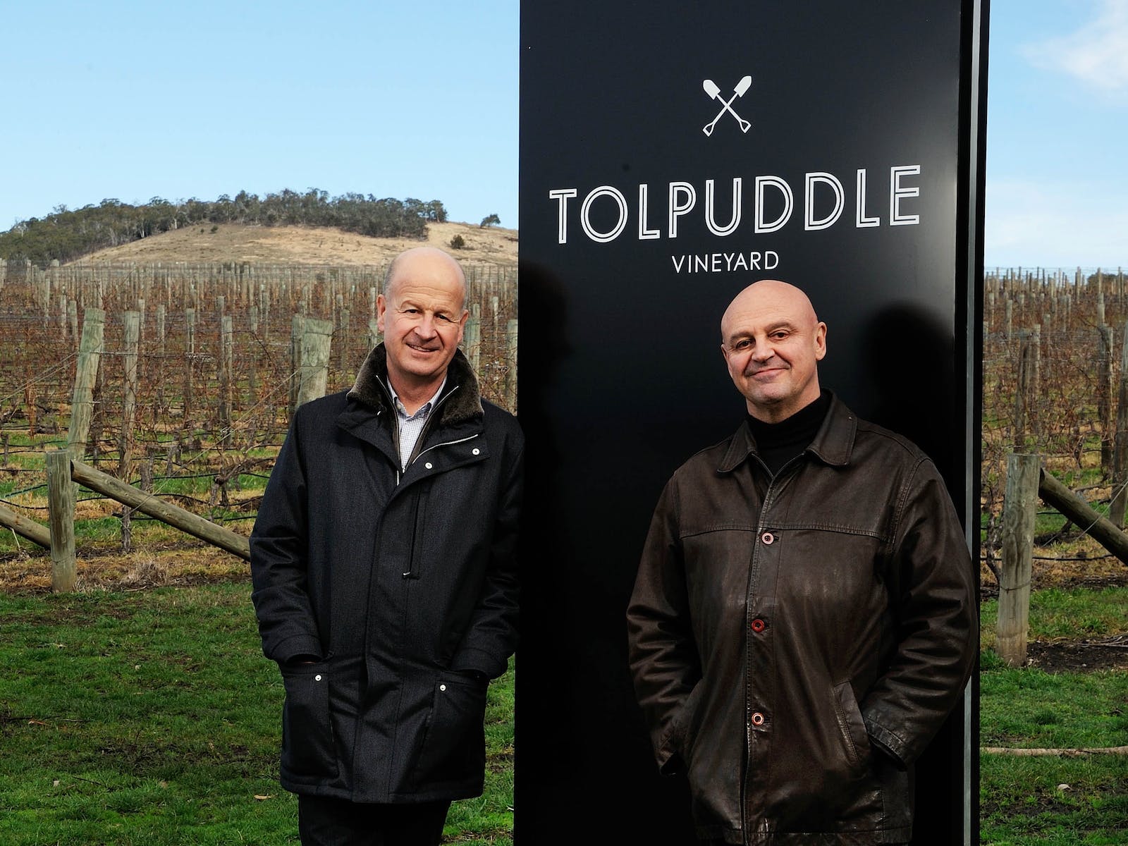 tolpuddle vineyard